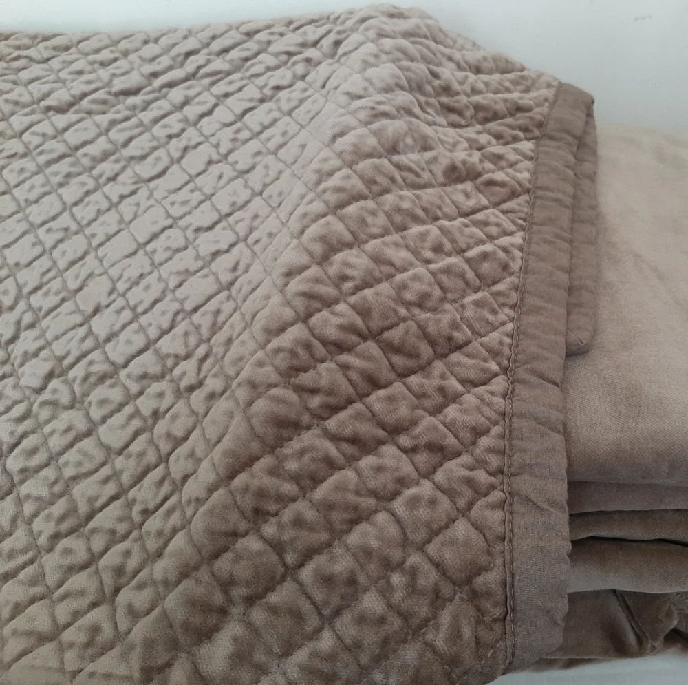 *Williams Sonoma Diamond Velvet Euro Shams